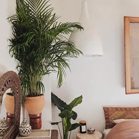 Apartment Casa Nour-mas Ale, *