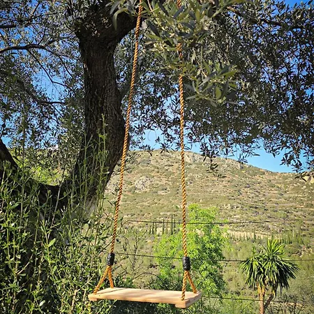 Casa Nour-mas Ale, Castellon de la Plana